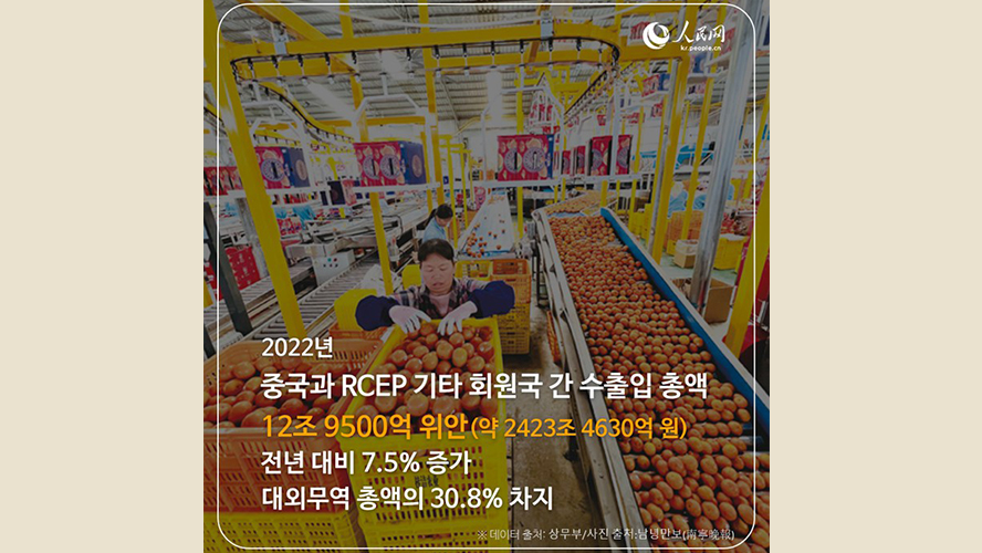 [????] ??? 中-RCEP ?? ??? ? ??? 12? 9500? ??